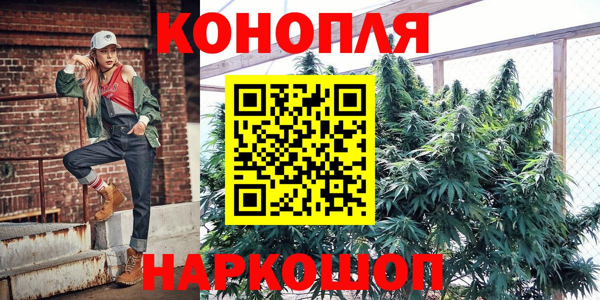 Шишки марихуана марихуана Берёзовский